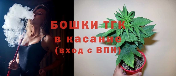 ГАЛЛЮЦИНОГЕННЫЕ ГРИБЫ Балахна