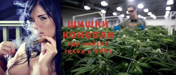 ГАЛЛЮЦИНОГЕННЫЕ ГРИБЫ Балахна