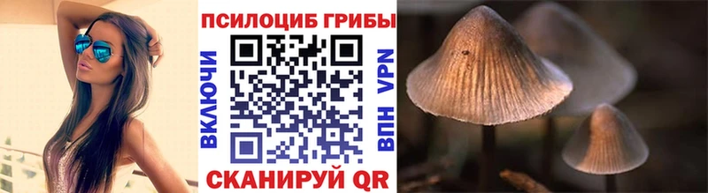 Псилоцибиновые грибы MAGIC MUSHROOMS  Бодайбо 