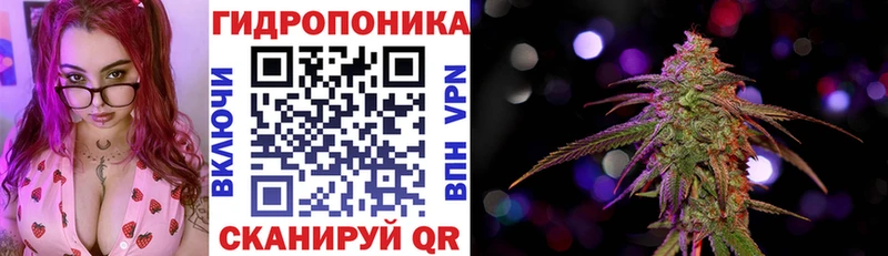 МАРИХУАНА планчик  Бодайбо 